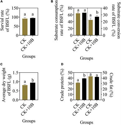 Bacillus velezensis EEAM 10B Strengthens Nutrient Metabolic Process in Black Soldier Fly Larvae (Hermetia illucens) via Changing Gut Microbiome and Metabolic Pathways